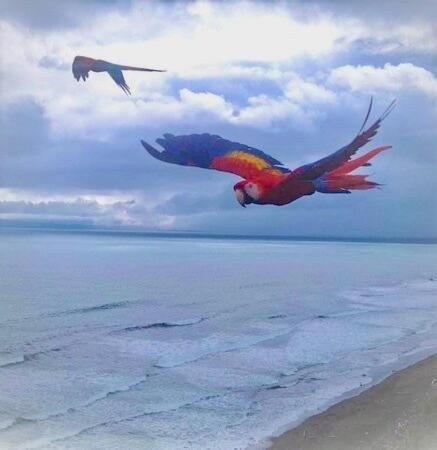 Coloso Del Mar Zancudo 外观 照片
